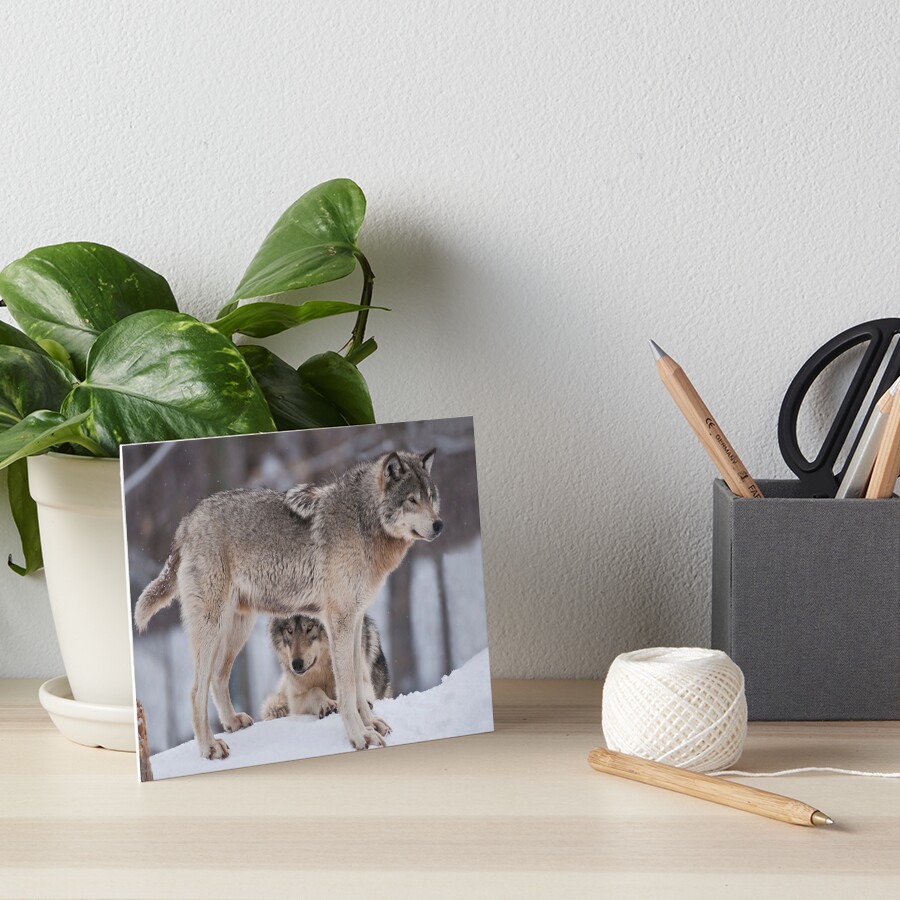 Item preview, Art Board Print designed and sold by WolvesOnly.