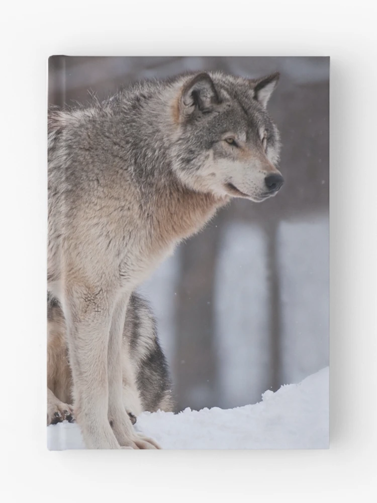 Thumbnail 1 of 3, Journal, Timber Wolves designed and sold by WolvesOnly.
