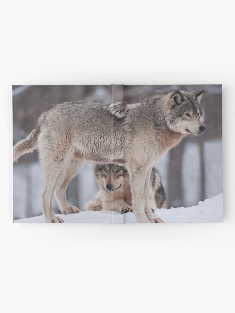 Thumbnail 2 of 3, Journal, Timber Wolves designed and sold by WolvesOnly.
