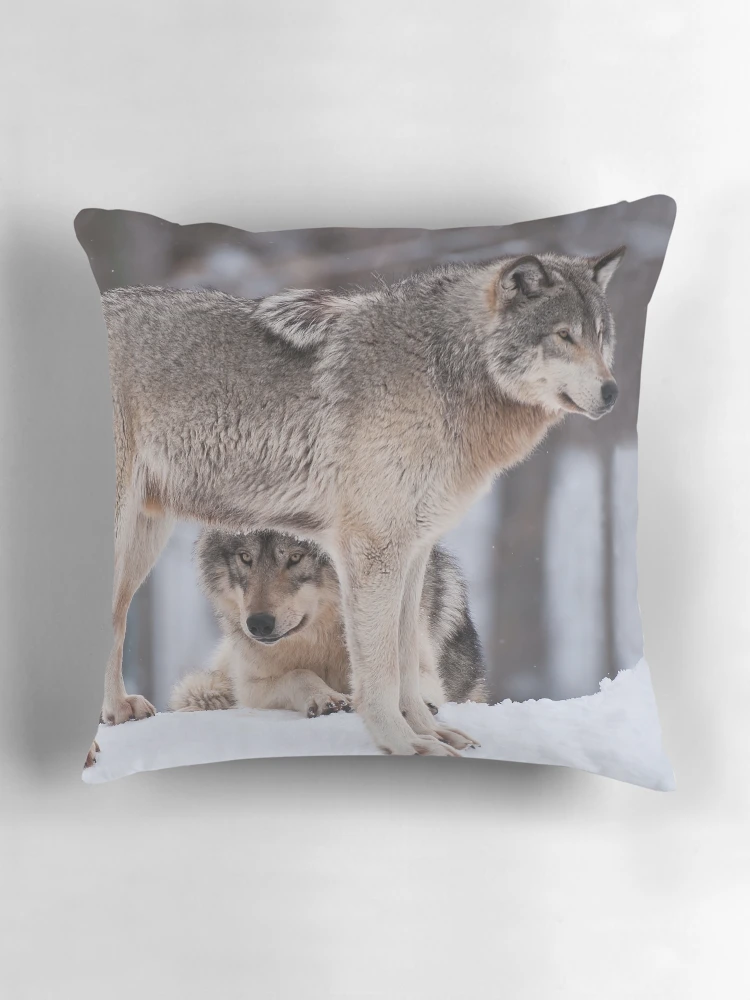 Thumbnail 3 of 4, Pillow, Timber Wolves designed and sold by WolvesOnly.