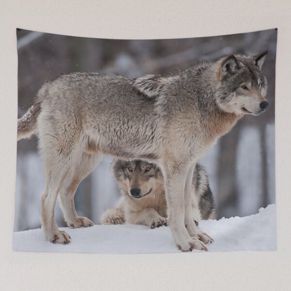Tapestry