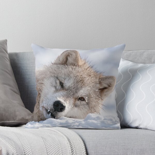 Item preview, Sleepy TIme designed and sold by WolvesOnly.