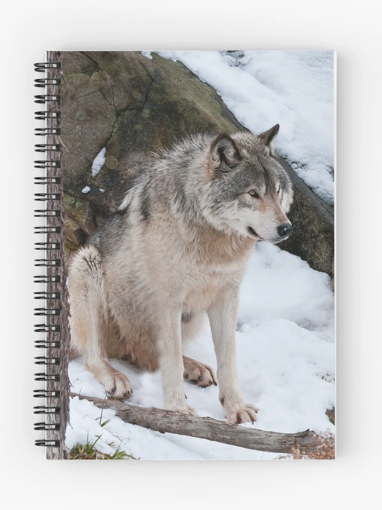 Thumbnail 1 of 3, Journal, Timber Wolves designed and sold by WolvesOnly.