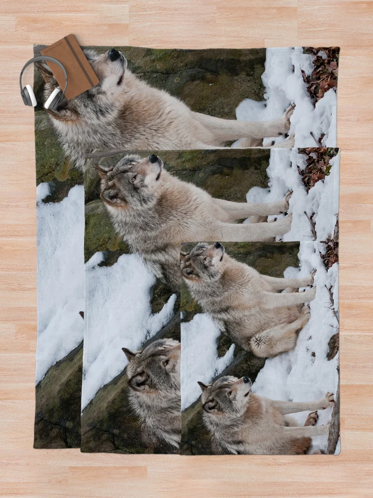 Thumbnail 5 of 6, Throw Blanket, Timber Wolves designed and sold by WolvesOnly.