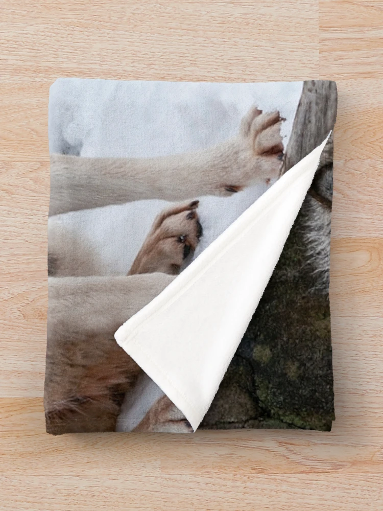 Thumbnail 3 of 6, Throw Blanket, Timber Wolves designed and sold by WolvesOnly.