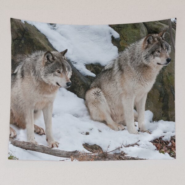 Item preview, Timber Wolves designed and sold by WolvesOnly.