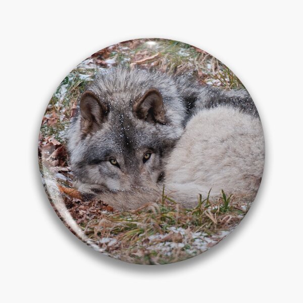 Item preview, Timber Wolf designed and sold by WolvesOnly.