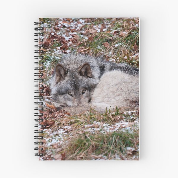 Item preview, Timber Wolf designed and sold by WolvesOnly.