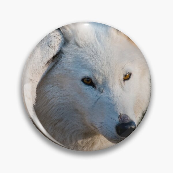 Item preview, I have A Secret designed and sold by WolvesOnly.