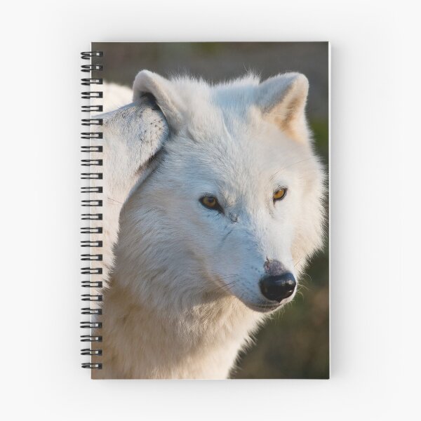 Item preview, I have A Secret designed and sold by WolvesOnly.