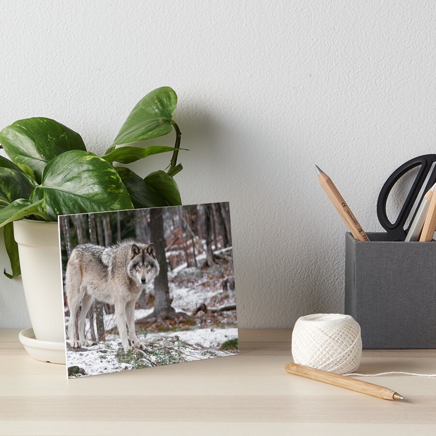 Item preview, Art Board Print designed and sold by WolvesOnly.