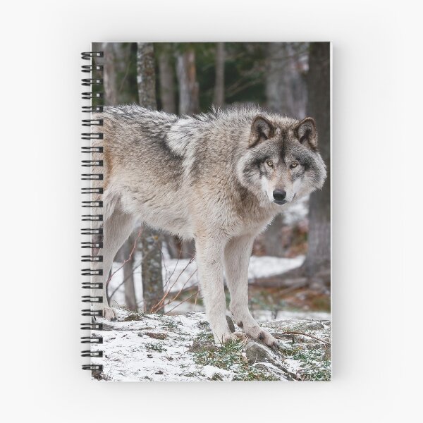 Artikelvorschau, Holzwolf entworfen und verkauft von WolvesOnly.