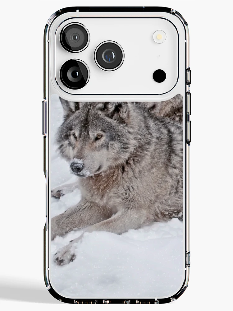 Thumbnail 1 of 5, iPhone Case, Timber Wolves designed and sold by WolvesOnly.