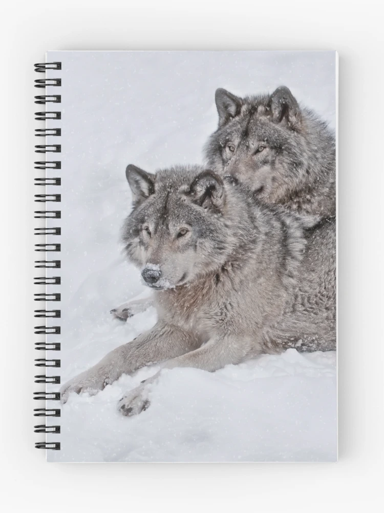 Thumbnail 1 of 3, Journal, Timber Wolves designed and sold by WolvesOnly.