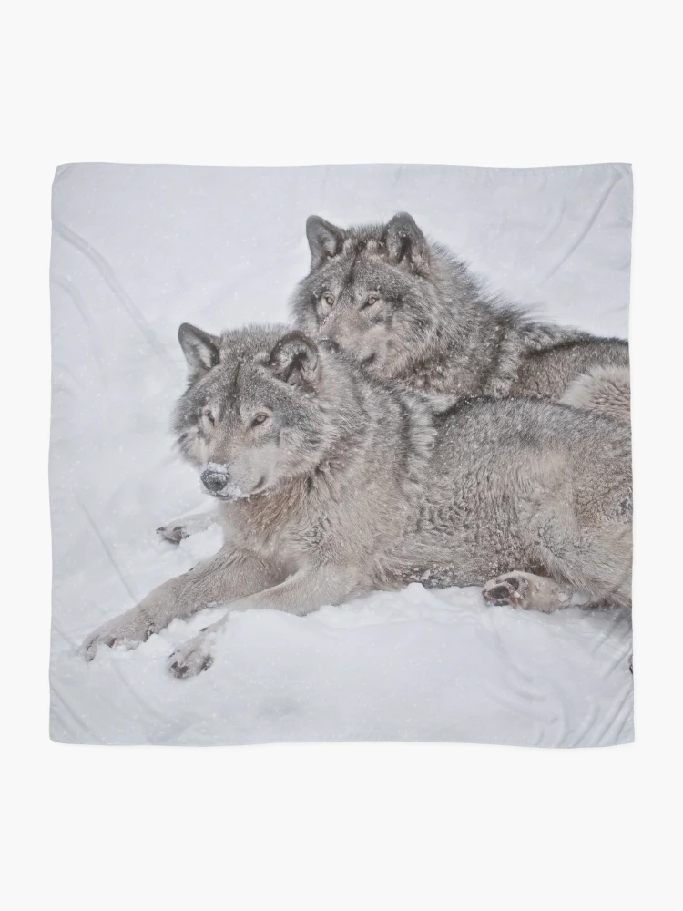 Thumbnail 2 of 3, Scarf, Timber Wolves designed and sold by WolvesOnly.