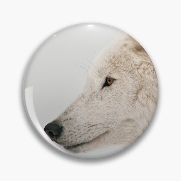 Artikelvorschau, Arctic Wolf entworfen und verkauft von WolvesOnly.