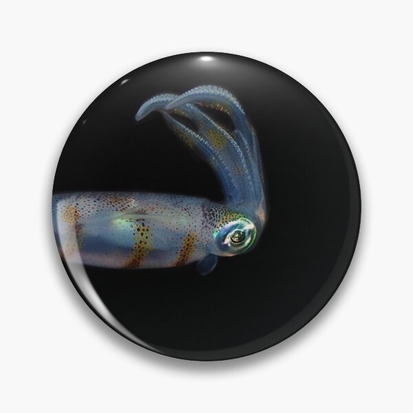 Item preview, squid photo with high resolution quality designed and sold by Allyouneed-2.