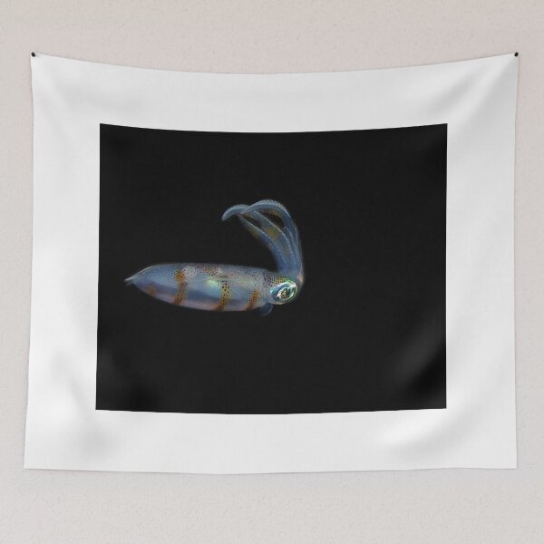 Item preview, squid photo with high resolution quality designed and sold by Allyouneed-2.