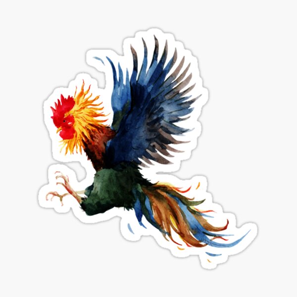Fighting Rooster Tattoos png images  PNGEgg