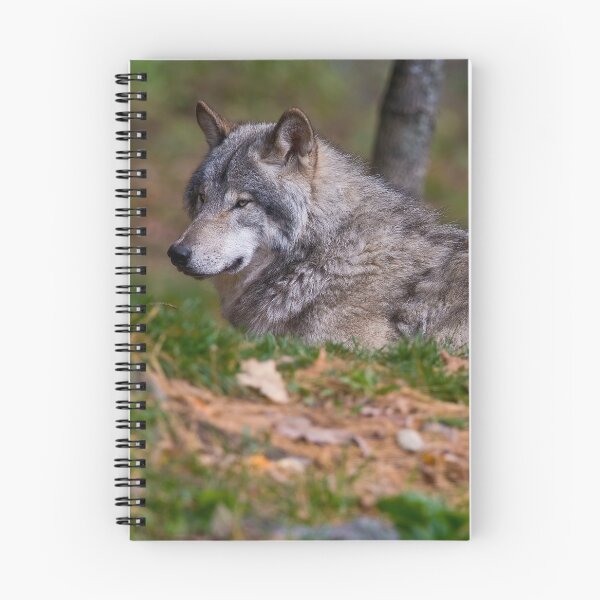 Artikelvorschau, Timber Wolf entworfen und verkauft von WolvesOnly.