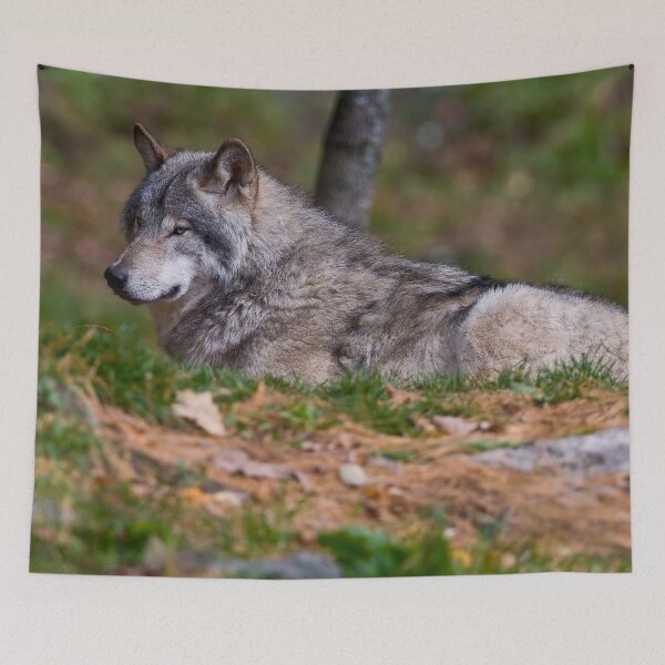 Item preview, Timber Wolf designed and sold by WolvesOnly.