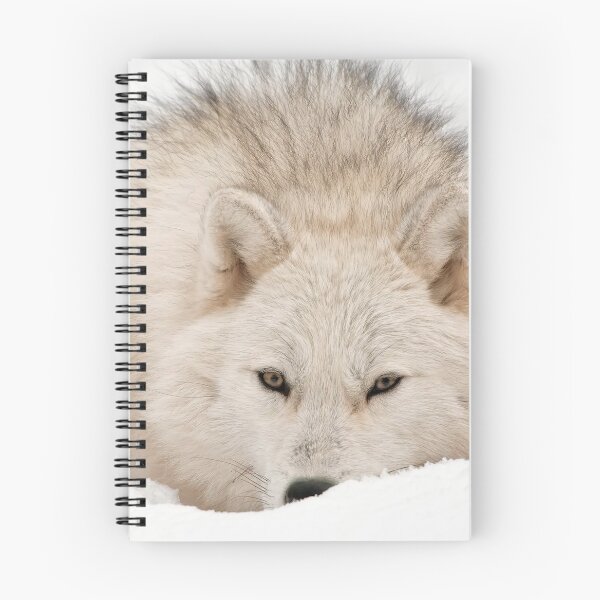 Item preview, Arctic Wolf designed and sold by WolvesOnly.
