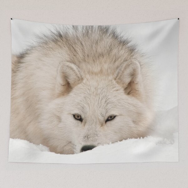 Item preview, Arctic Wolf designed and sold by WolvesOnly.