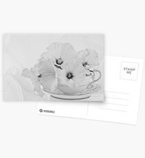 Lavatera Flowers In Tea Cup - Still Life Postcards