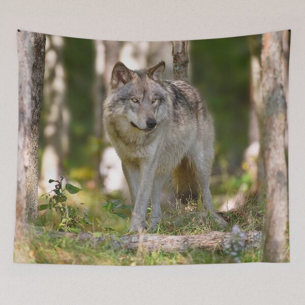 Item preview, Timber Wolf designed and sold by WolvesOnly.