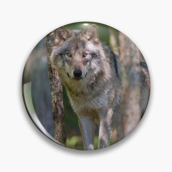 Item preview, Timber Wolf designed and sold by WolvesOnly.
