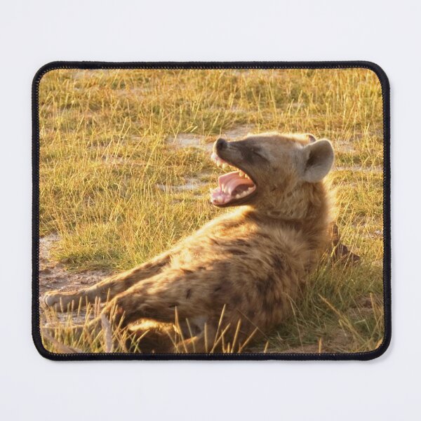 Item preview, African Hyena Basking in The Sun. designed and sold by DocSaunders.