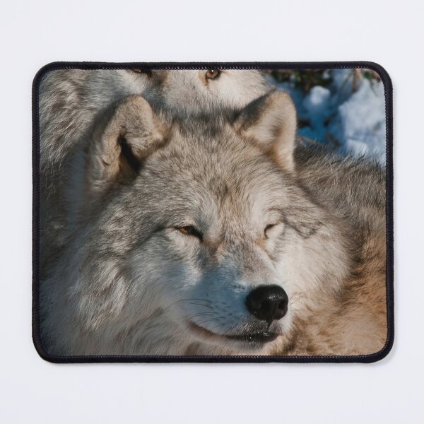 Item preview, Arctic Wolves designed and sold by WolvesOnly.