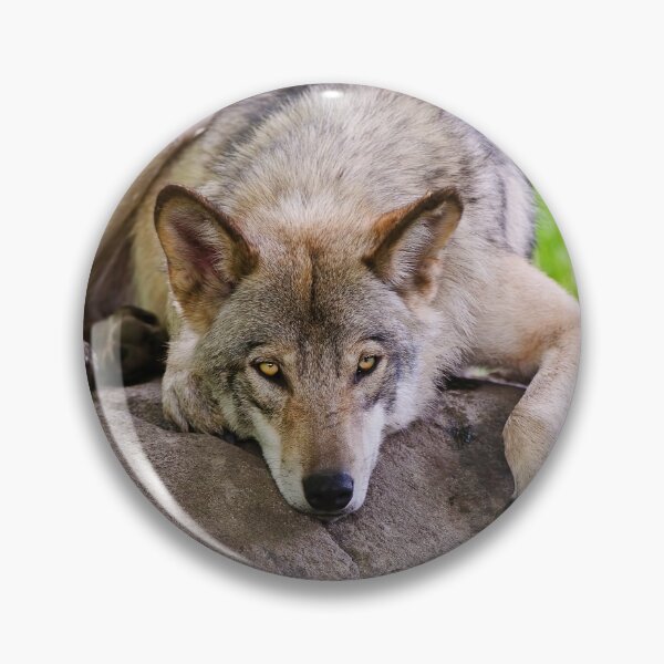 Artikelvorschau, Taking A Break entworfen und verkauft von WolvesOnly.