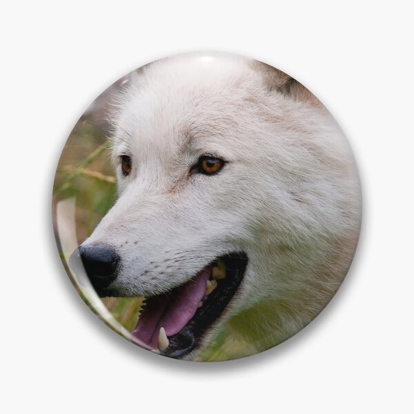 Item preview, Arctic Wolf designed and sold by WolvesOnly.