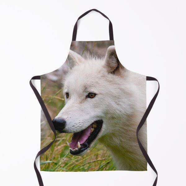 Artikelvorschau, Arctic Wolf entworfen und verkauft von WolvesOnly.