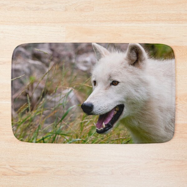 Artikelvorschau, Arctic Wolf entworfen und verkauft von WolvesOnly.