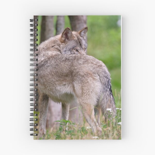 Artikelvorschau, Looking Around entworfen und verkauft von WolvesOnly.