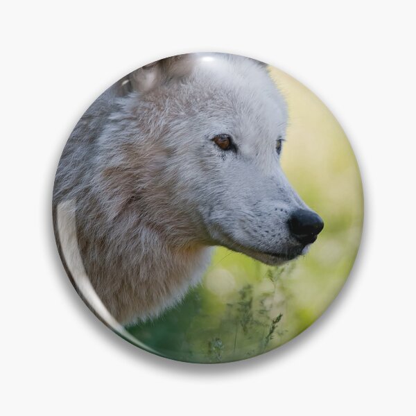 Artikelvorschau, Arctic Wolf entworfen und verkauft von WolvesOnly.