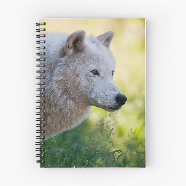 Item preview, Arctic Wolf designed and sold by WolvesOnly.