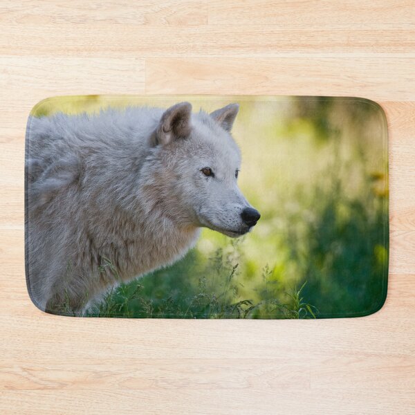 Aperçu de l'œuvre Arctic Wolf créée et vendue par WolvesOnly.