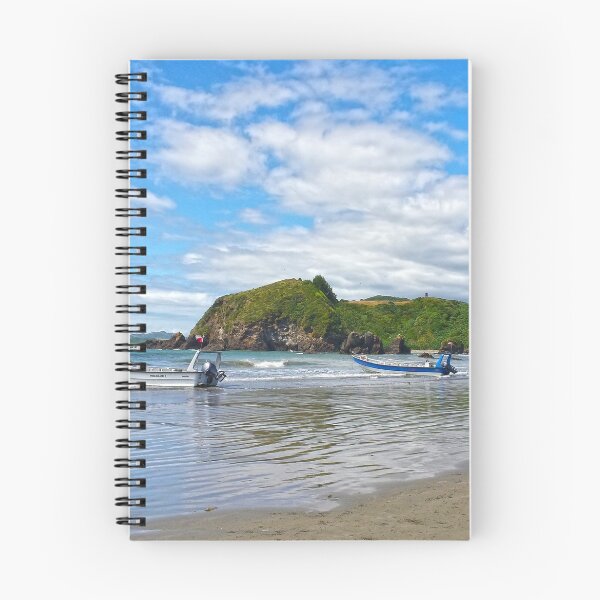 Item preview, Beach Chiloé designed and sold by pribellafronte.