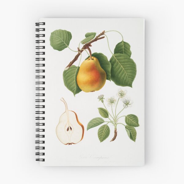 Item preview, Veganism - Team Herbivore designed and sold by kwbord.