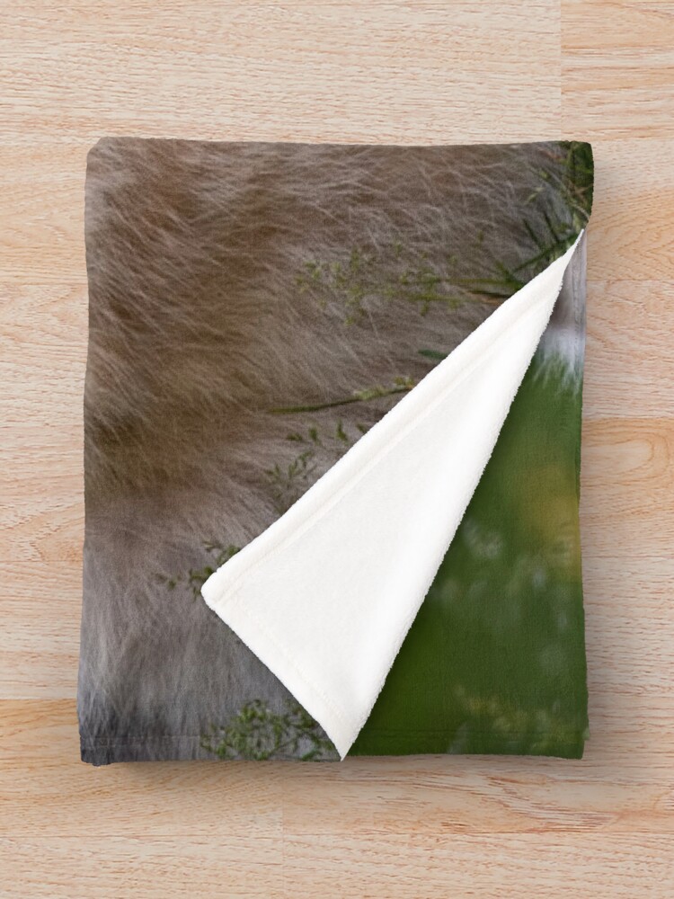 Thumbnail 3 von 6, Fleecedecke, Arctic Wolf designt und verkauft von WolvesOnly.