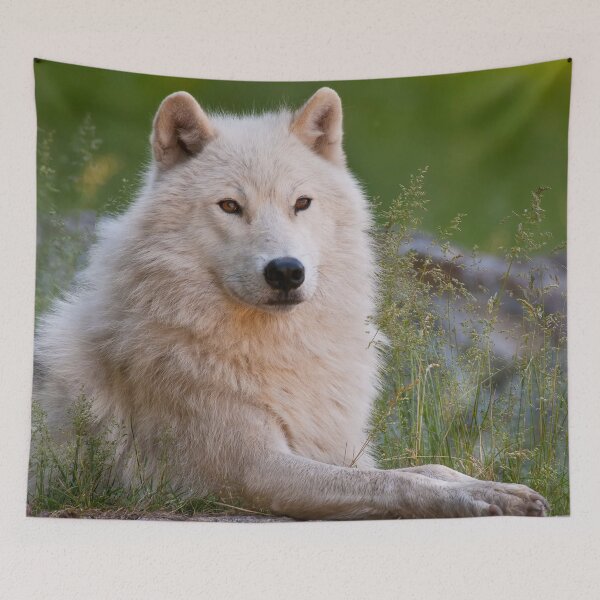 Item preview, Arctic Wolf designed and sold by WolvesOnly.