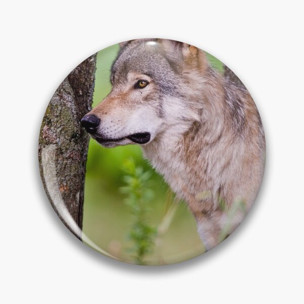 Item preview, Timber Wolf designed and sold by WolvesOnly.