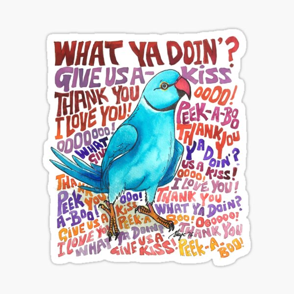 "Chatty Ringneck" Sticker