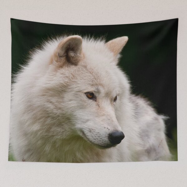 Item preview, Arctic Wolf designed and sold by WolvesOnly.