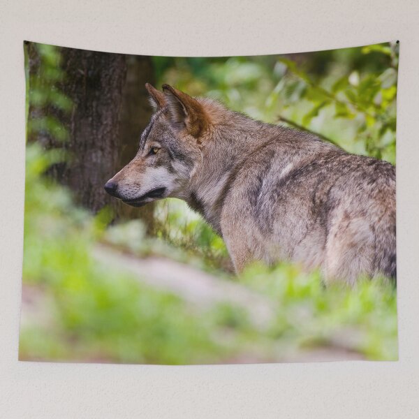 Item preview, Timber Wolf designed and sold by WolvesOnly.