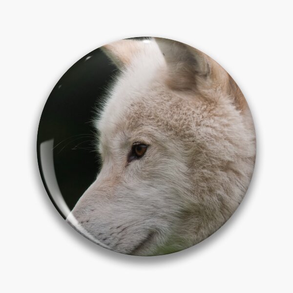 Artikelvorschau, Arctic Wolf entworfen und verkauft von WolvesOnly.