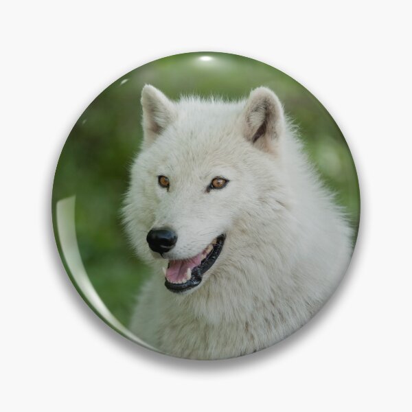 Item preview, Arctic Wolf designed and sold by WolvesOnly.